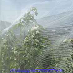 anti insect netting, rede anti-insetos manufacturer