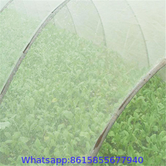 anti insect netting, rede anti-insetos manufacturer