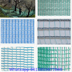 Black Color Anti Hail Net Olive Net for Agriculture