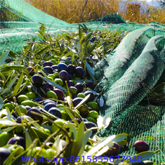 100% Virgin HDPE Olive Net, olive sack