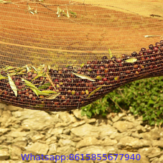 Latest Material Best Quality Olive Net Manufacturer