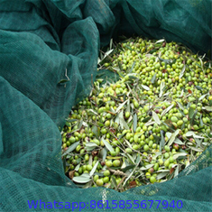 Latest Material Best Quality Olive Net Manufacturer