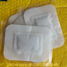 China FDA Certified Manufactory Directly Offer like korea detox foot patch supplier