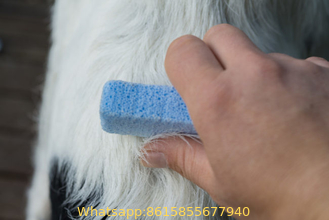 Car care Pet Hair Removal Stone