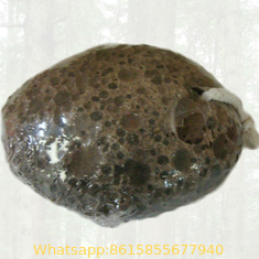 China Egg shaped volcano pumice stone ,pumice stone supplier