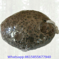 Egg shaped volcano pumice stone ,pumice stone