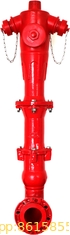 Dry Barrel Ourdoor Hydrant-DN100 PN16 GB4452 Standard