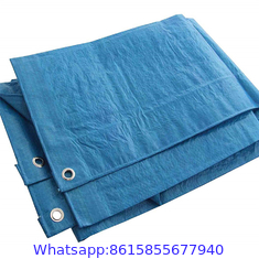 Woven Printer Pe Tarpaulin Pool Plastic Rolls For Sale