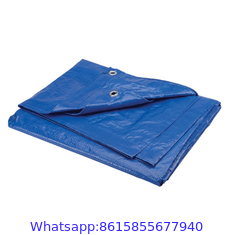 China Factory Good Quality Custom Pvc Pe Tarpaulin Roll For Truck Car Roof
