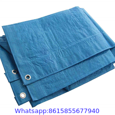 800gsm Glossy Pvc Coated Tarpaulin / Inflatable Tents Plastic Tarpaulins Fabric