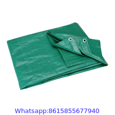 Factory Customized Double Waterproof Pe Tarpaulin