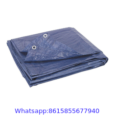 Factory Customized Double Waterproof Pe Tarpaulin