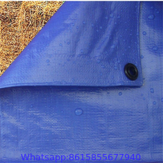 Transparent Pvc Tarpaulin,Super Clear Pvc Fabric