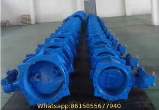 China manufactured Double Flanged Type Eccentric Butterfly Vlave-Type1