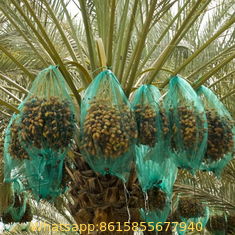 green palm mesh bag,date plam net bag,date plam bag export to middle east