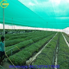 hdpe mono green Shade Net for agriculture