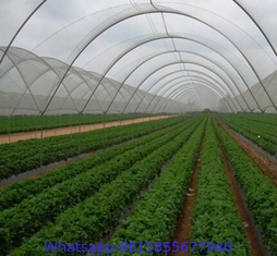 Agricultural Shade Net For garden
