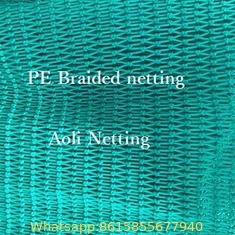 PE fishing net. fish net. HDPE Fishing net