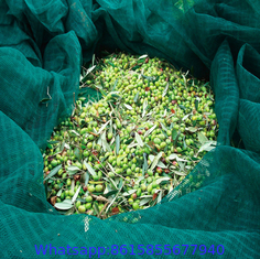hdpe material Olive Catching net