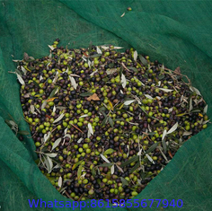 hdpe material Olive Catching net