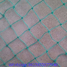 hdpe material Olive Catching net