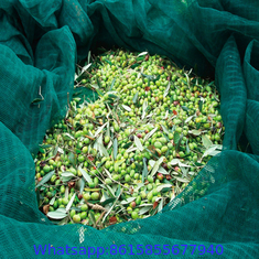 hdpe material Olive Catching net