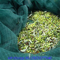 Olive Picking Nets from China