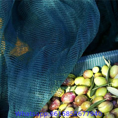 High Quality Olive Net Olive Harvest Mesh Net Olive Collecting Netting plastic