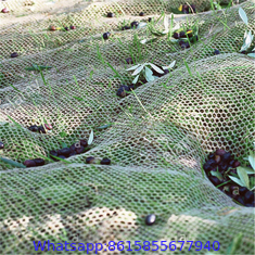 Agriculture Knitted Olive Netting,Plastic Protection Olive Net