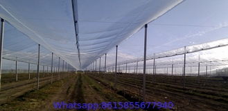 Agriculture Protection Anti Hail Netting