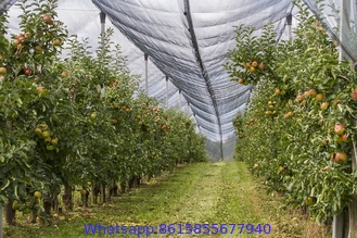 Agriculture Protection Anti Hail Netting