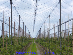 Agriculture Protection Anti Hail Netting