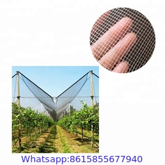 #2021 Factory supply anti-hail net / Hail Protection Net / apple tree Anti Hail net