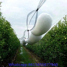 PE with UV 53gsm white color agriculture apple tree anti hail net