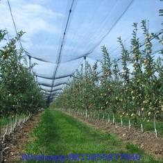 PE with UV 53gsm white color agriculture apple tree anti hail net