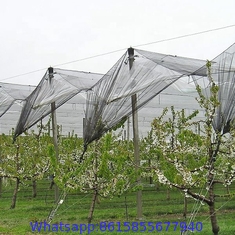 Polyester mesh fabric white plastic anti hail net for greenhouse 5m width