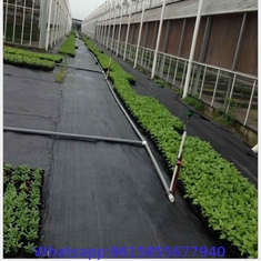 Agricultural Plastic Woven Mulch Weedmat / Weed Control Mat Product Name and Agriculture Usage Usage Weed Control Mat