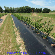 Weed Barrier Fabrics,weed control mat, weed control fabric