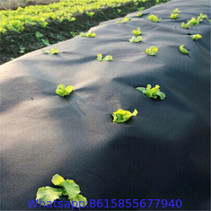 China Agriculture Control Black PP Woven Weed Barrier Mat