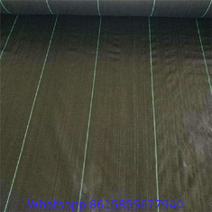 China Agriculture Control Black PP Woven Weed Barrier Mat