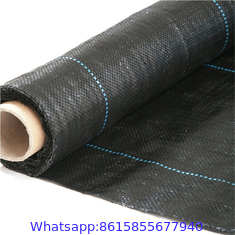 China Agriculture Control Black PP Woven Weed Barrier Mat