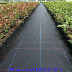 China Agriculture Control Black PP Woven Weed Barrier Mat