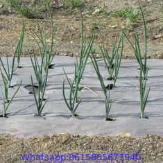 China Agriculture Control Black PP Woven Weed Barrier Mat