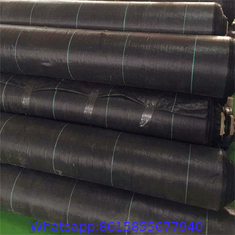 China Agriculture Control Black PP Woven Weed Barrier Mat