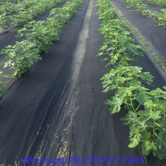 Non Woven Weed Barrier Fabric