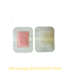 China Cleansing Detox Bamboo Foot Pads supplier