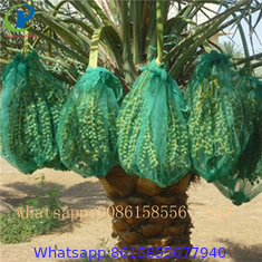 100% virgin polyethylene PE net bags for vegetables date palm packaging