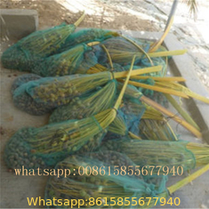 PE monofilament date palm bag with strong black rop
