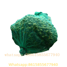 Green harvest pe Date Palm Mesh Bag for protection