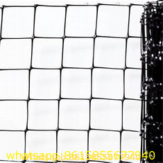 China Suppliers Deer and Rabbit Control Fencing Mesh, Anti Mole Net